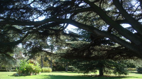 parc Manillier
